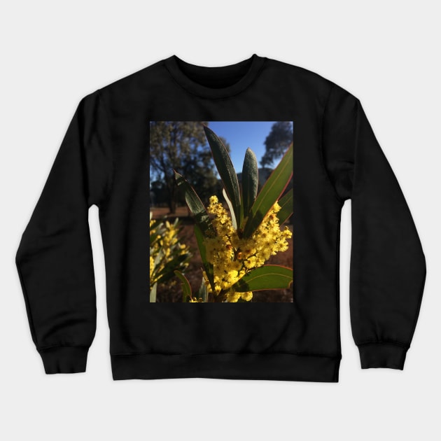 Wattle Flowers Crewneck Sweatshirt by DeborahMcGrath